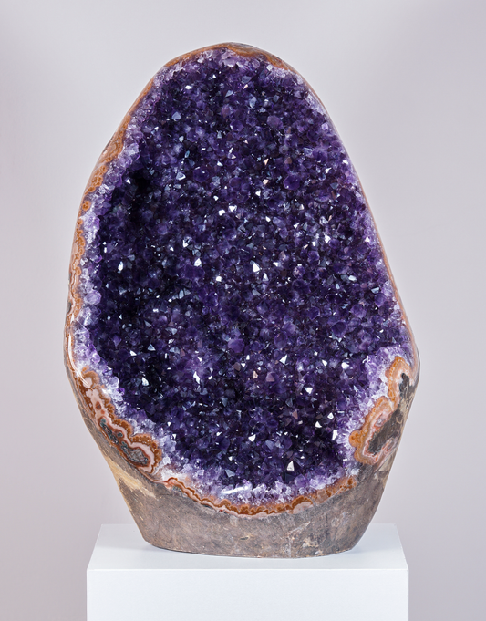 A large polished amethyst geode specimen with a deep purple crystal interior and brown outer matrix, displayed on a white pedestal against a light gray studio background.