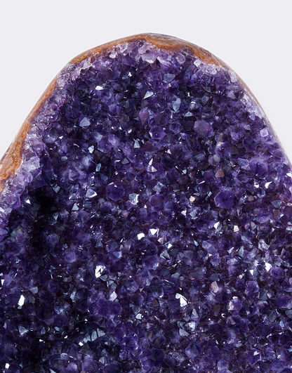A close-up of a polished amethyst geode or crystal cluster with deep purple to violet crystalline texture and a brown matrix edge, shown against a light gray background.