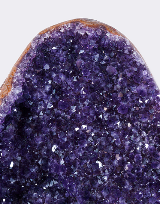 A close-up of a polished amethyst geode or crystal cluster with deep purple to violet crystalline texture and a brown matrix edge, shown against a light gray background.