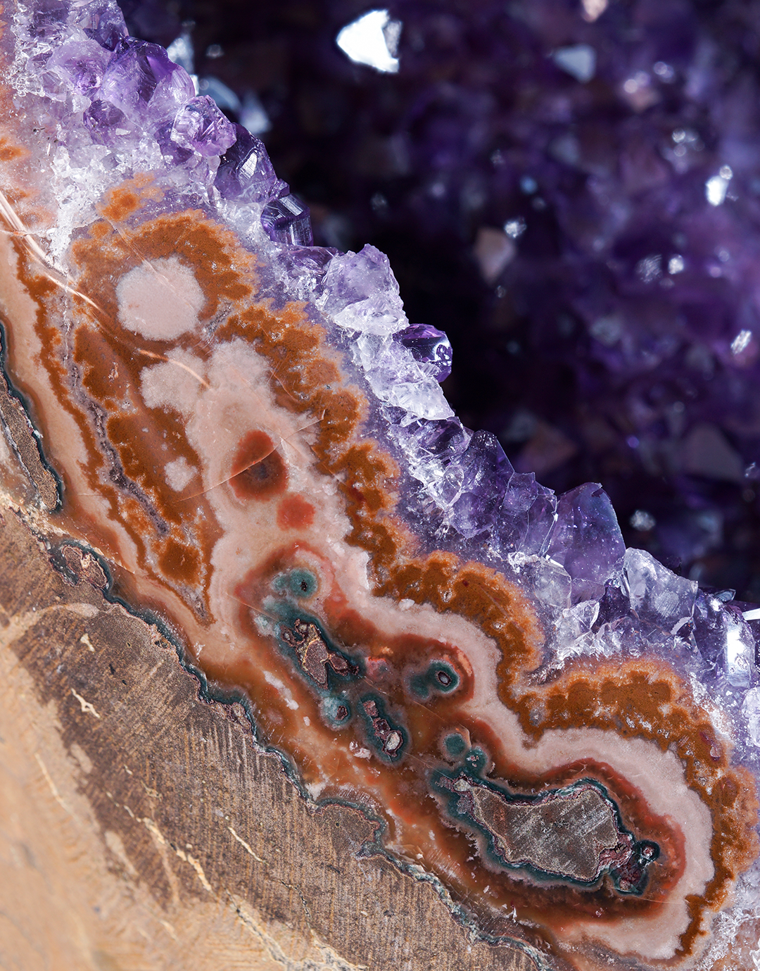 Close-up of a geode or crystal cluster with layered agate-like bands in brown, cream, teal, and gray, bordered by clear purple crystal points and a dark purple crystalline interior.