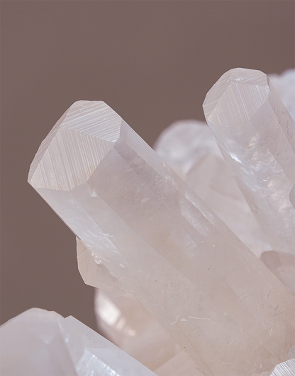 A close-up of translucent white crystal points clustered together against a soft warm taupe background.
